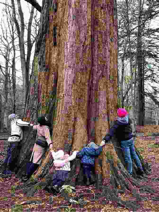 A Group Of People And Trees Standing Together How The Trees Got Their Voices