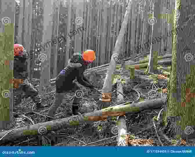 A Group Of People Cutting Down A Forest How The Trees Got Their Voices