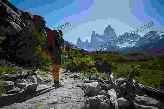 A Hiker Walking On A Trail In The Patagonian Wilderness In Argentina The Story Of An Indian Backpacker: Solo In South America