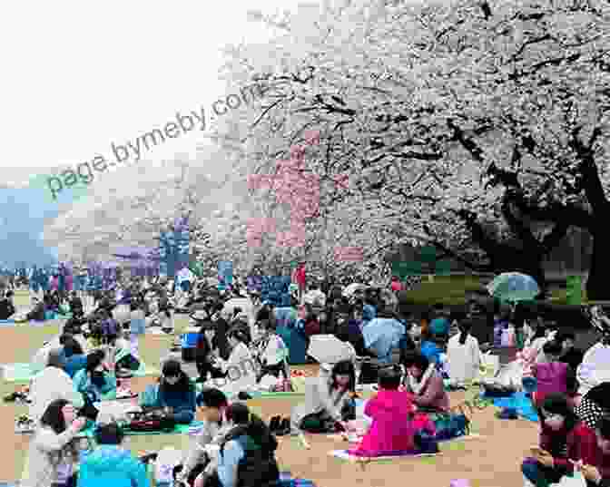 Crowds Of People Enjoying A Cherry Blossom Festival In Japan The Sakura Obsession: The Incredible Story Of The Plant Hunter Who Saved Japan S Cherry Blossoms