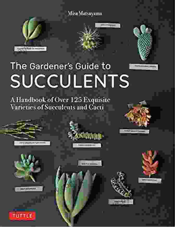 Handbook Of Over 125 Exquisite Varieties Of Succulents And Cacti The Gardener S Guide To Succulents: A Handbook Of Over 125 Exquisite Varieties Of Succulents And Cacti