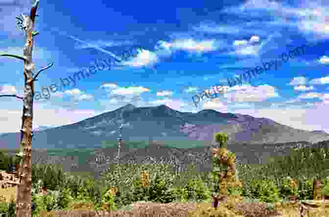 Majestic Mountains Encircling Flagstaff Super 8: A Trip To Flagstaff