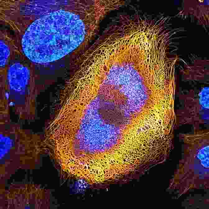 Microscopic View Of A Living Cell, Showcasing The Intricate Machinery Of Life The Canon: A Whirligig Tour Of The Beautiful Basics Of Science