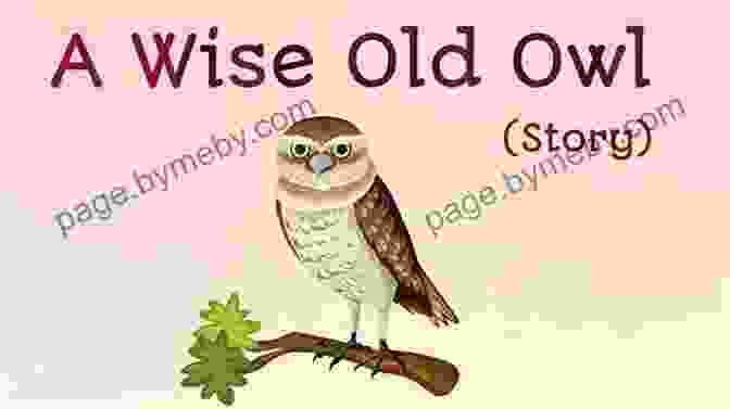 Sasha And Her Friend Encounter A Wise Old Owl Who Shares Valuable Life Lessons. Tales Of Sasha 3: A New Friend