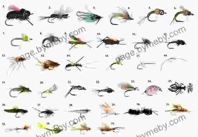 Selection Of Popular Fly Patterns FLY TYING 101: BEGINNERS GUIDE TO FLY TYING BASICS STEPS TIPS AND MANY MORE