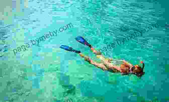 Snorkeling In St John St John: Feet Fins And Four Wheel Drive