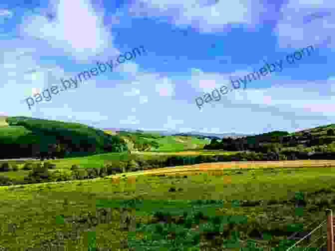 The Rolling Hills Of The Eastern Highlands The Gathering Storm: The Gathering Storm: Southern Rhodesia In The 1950s Before Zimbabwe