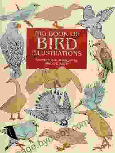 Big of Bird Illustrations (Dover Pictorial Archive)