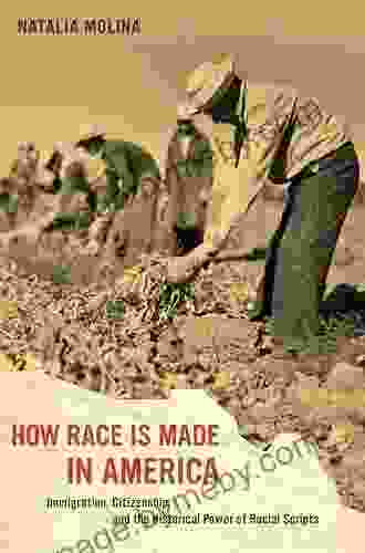 How Race Is Made In America: Immigration Citizenship And The Historical Power Of Racial Scripts (American Crossroads 38)