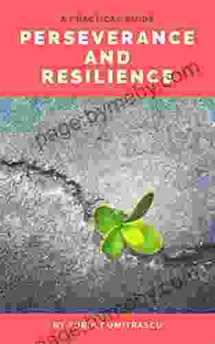 Perseverance And Resilience: A Practical Guide (Management 2)