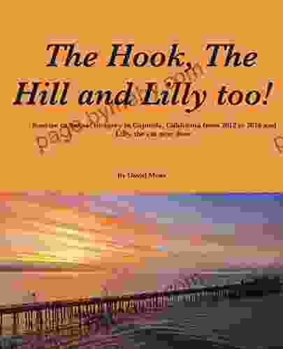 The Hook The Hill And Lilly Too : Sunrise And Sunset In Capitola California