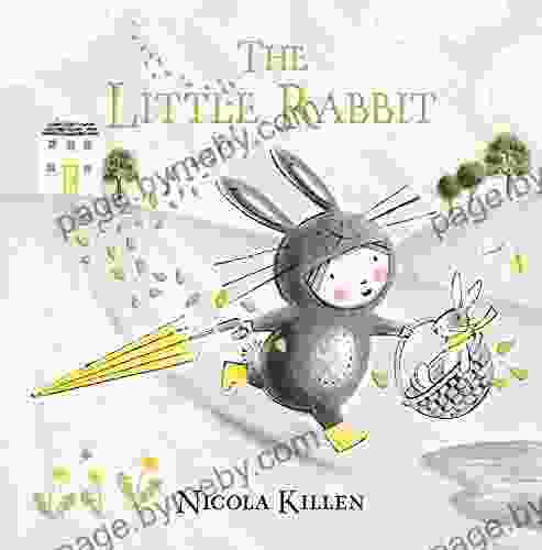 The Little Rabbit (My Little Animal Friend)