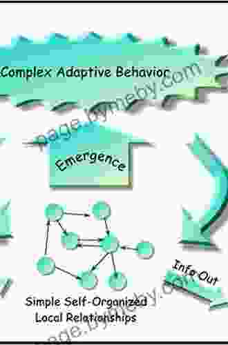 Changing Conversations In Organizations: A Complexity Approach To Change (Complexity And Emergence In Organizations)