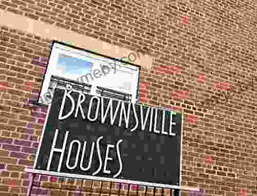 Brownsville Summer Poem (Project Poetry Book)